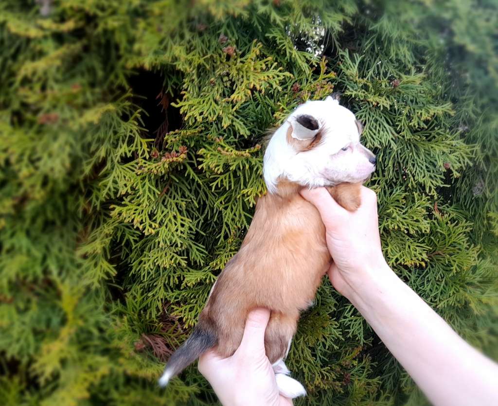 Moment of Glory Ester