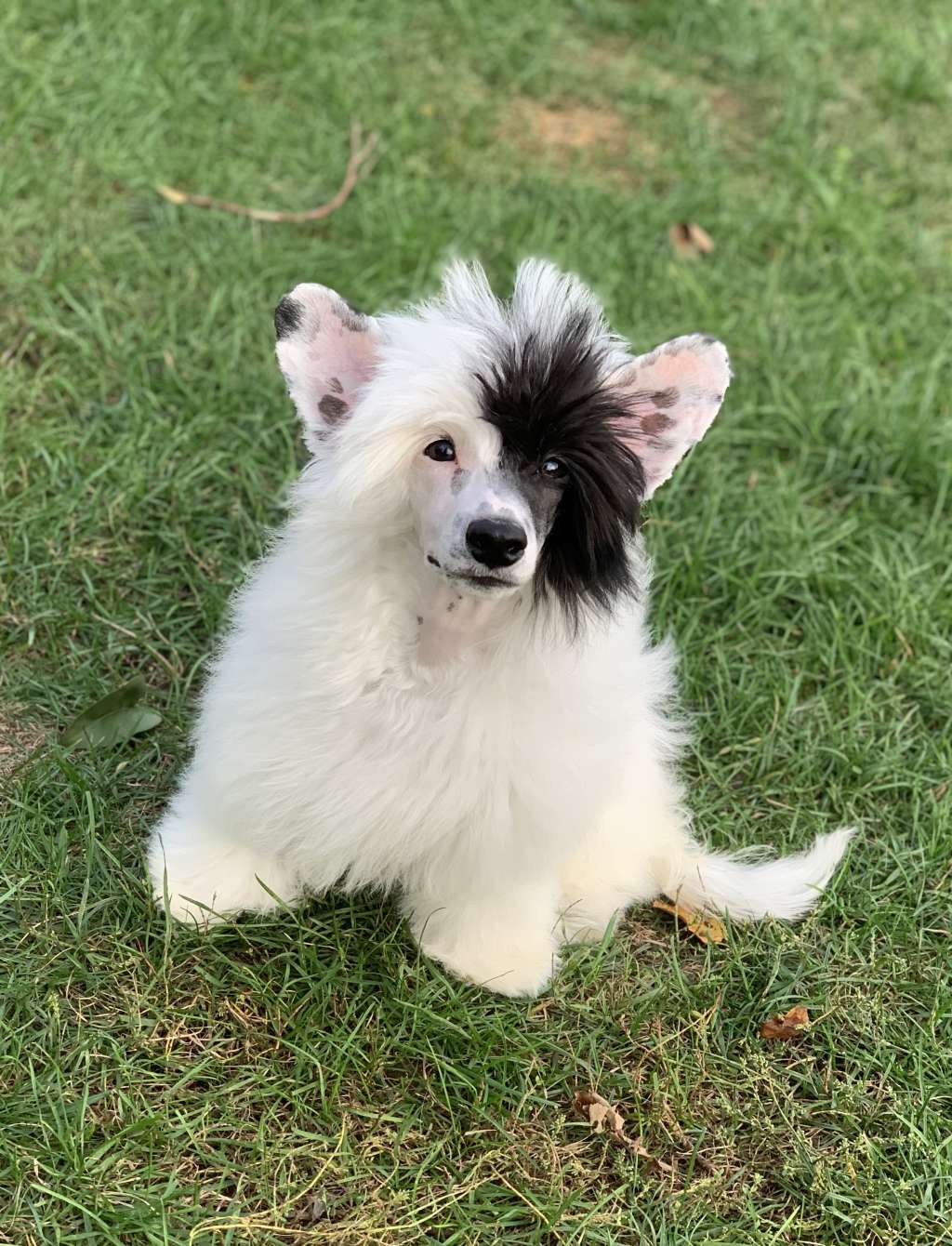 AkDeniz Graffiti Look