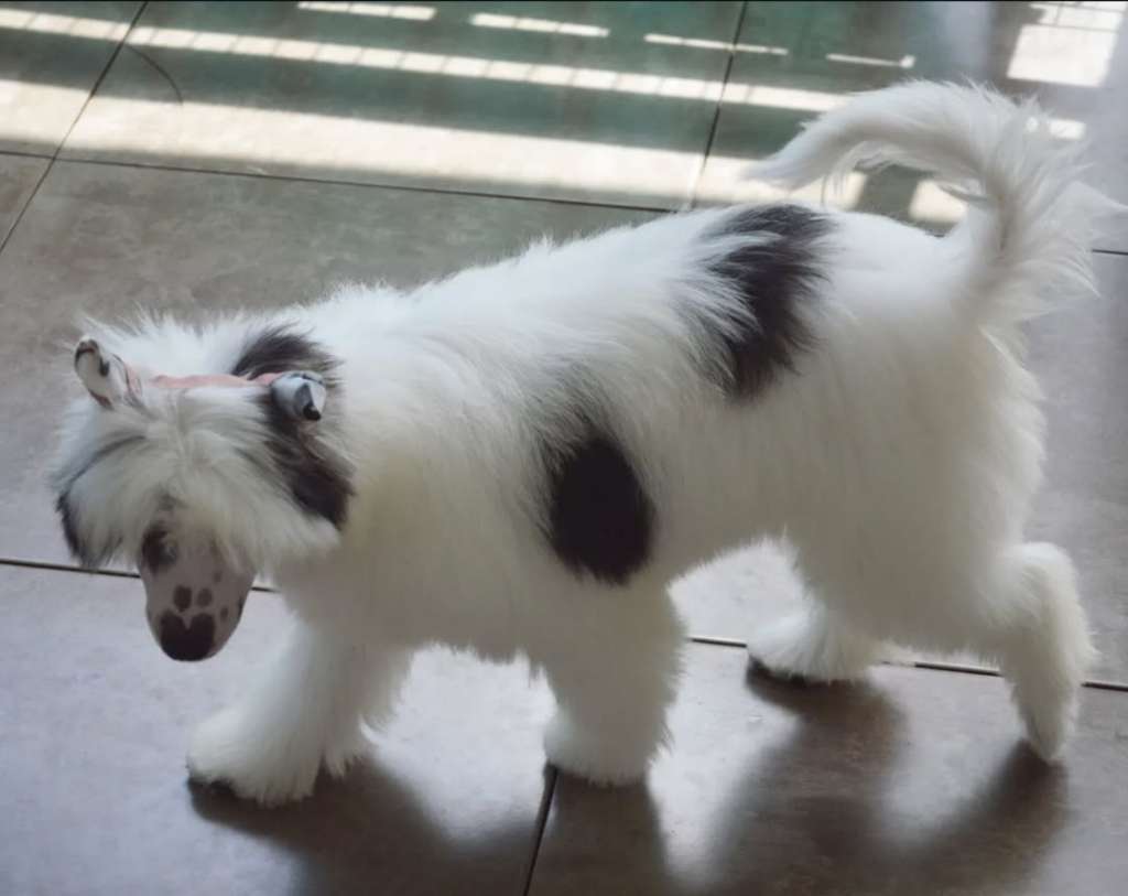 Volcancrest Boset Bericha