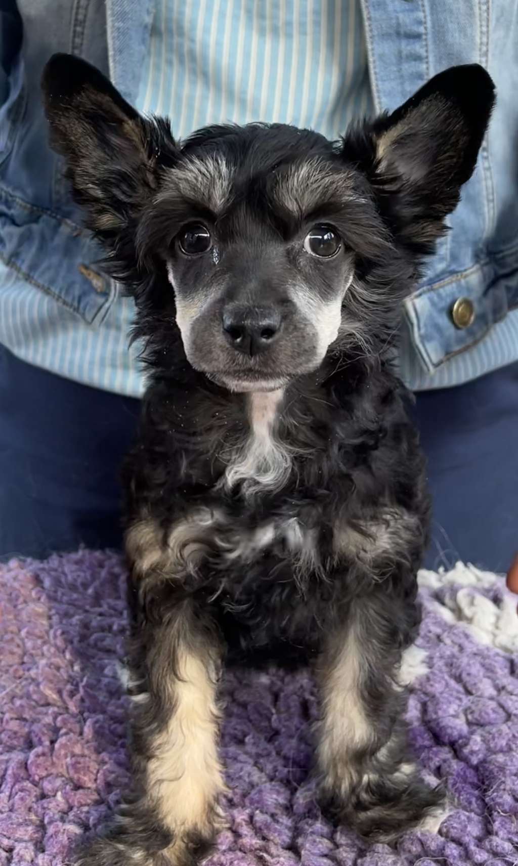 Eventyrvannets Ulla Av Utgard