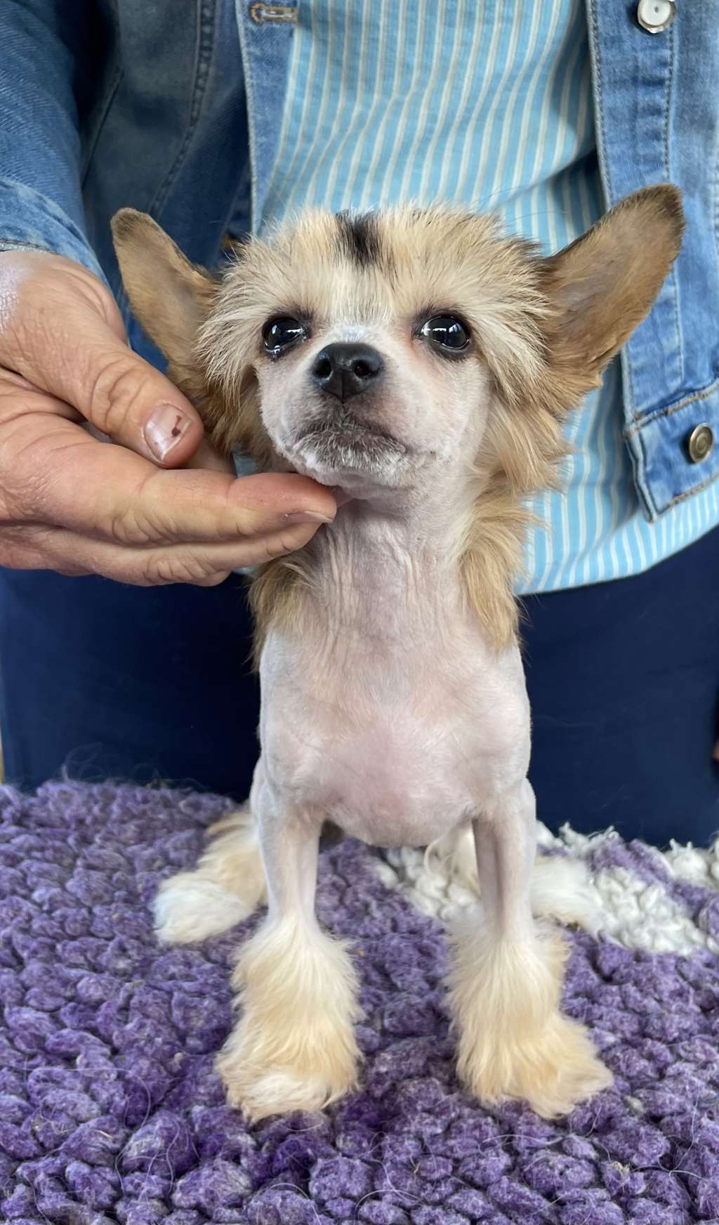 Eventyrvannets Unik Av Utgard