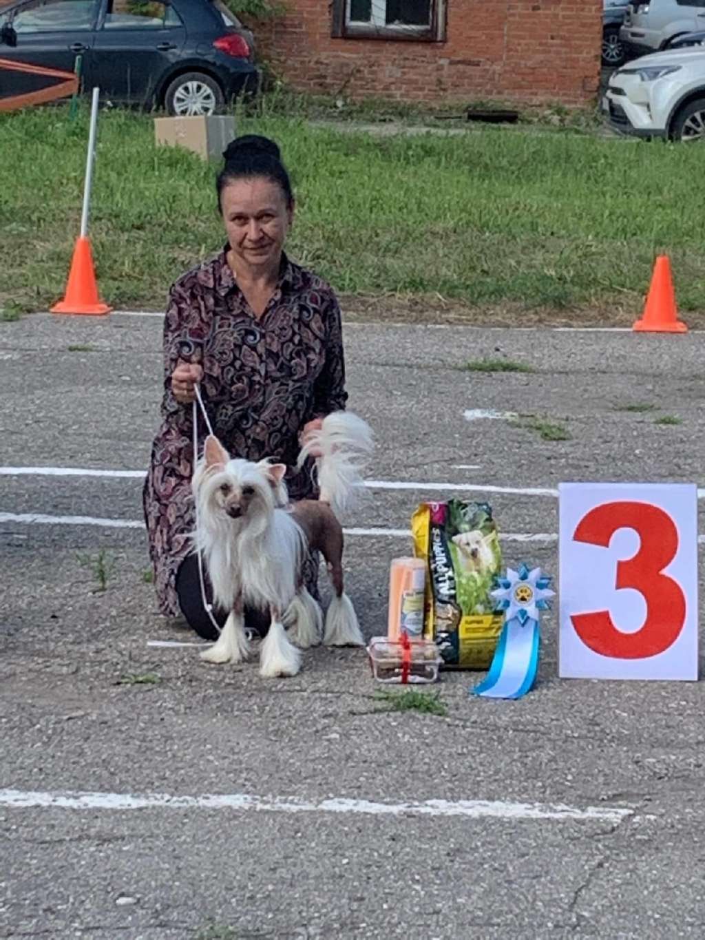 Ognenny Lotos Asinia Yait Endzel