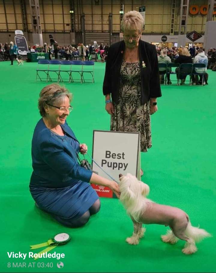 Pufflepaws Peruvian Party JW x1RCC