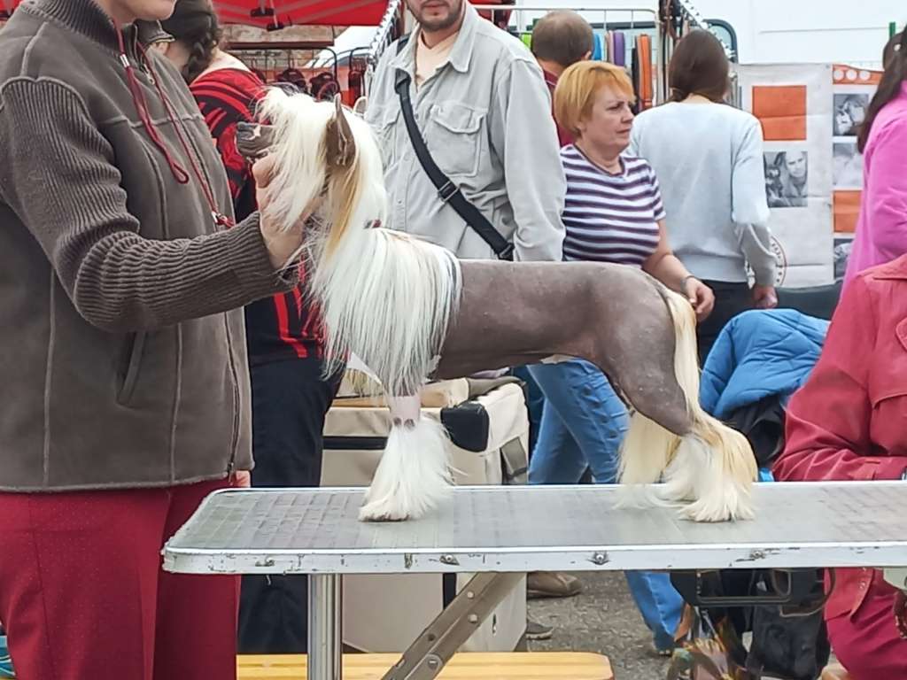 Zheneva-Debjut Yes Sir, I Can Boogie