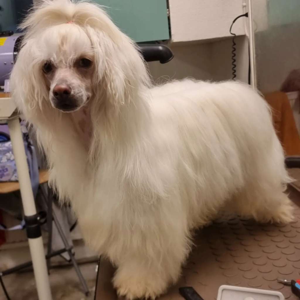 Beachcrest Christian Dior