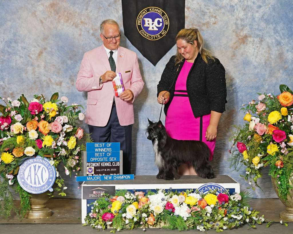 Piedmont Kaylens Girls Like You