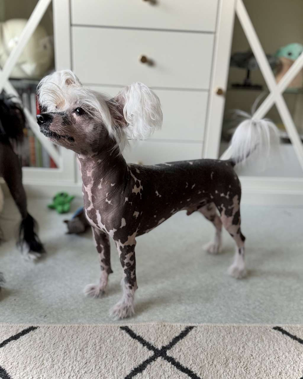 Naked Stars You Mocha Me Crazy