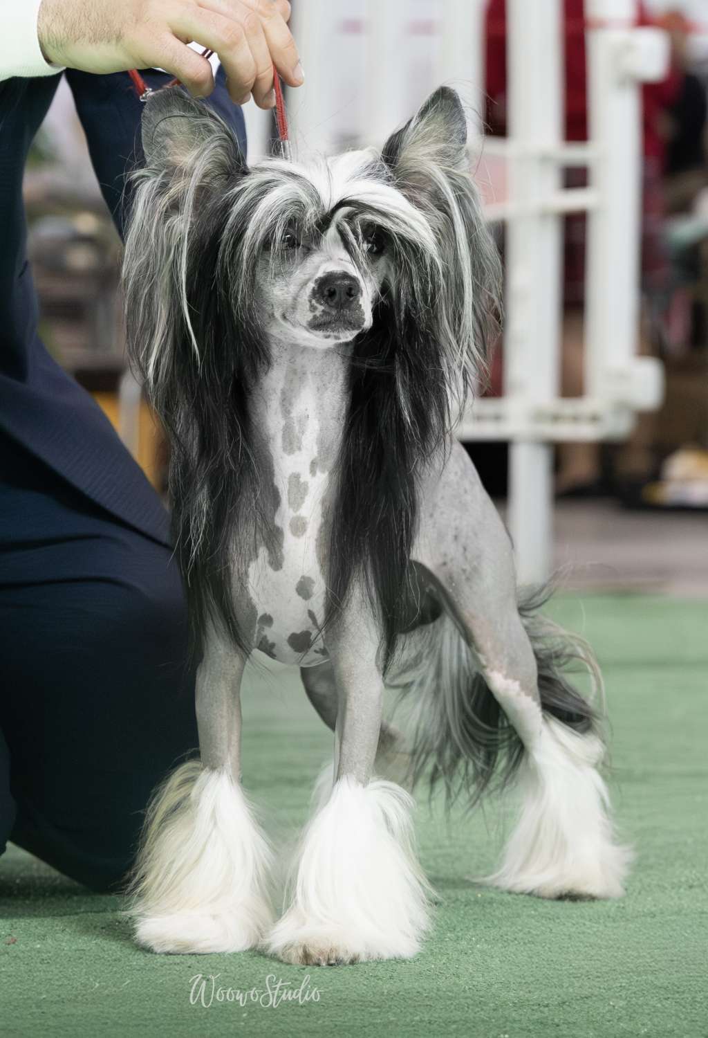 One Million Lucky de Lyboriu's Legacy