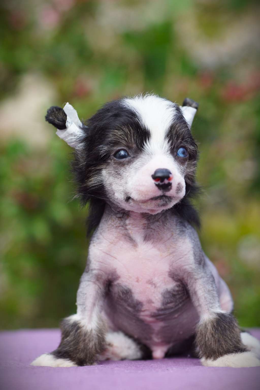 Call Me Hero Heybett