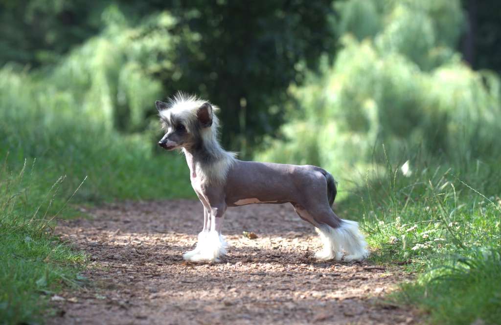 Blowing Raspberry Heybett