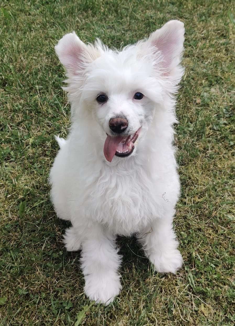 Maybell's Spring Breeze