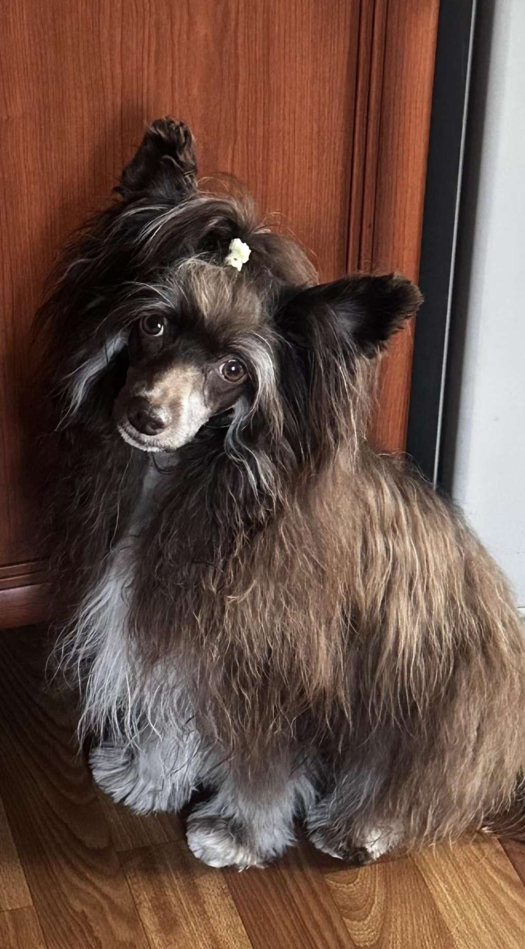 Lancelot Darius Furswood