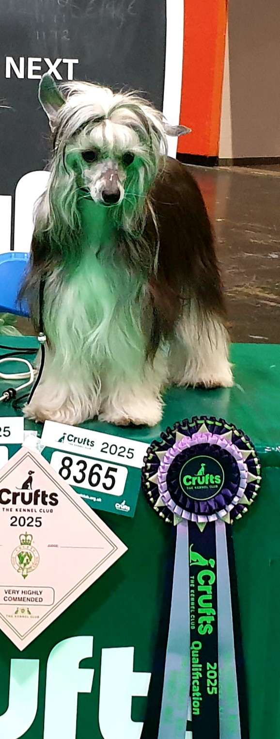 Yaquinas Kill Them All