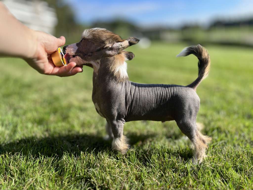 Girls Girls My Supermann