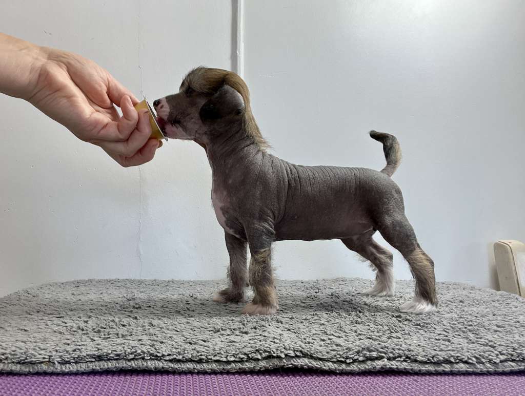 Girls Girls My wonder woman