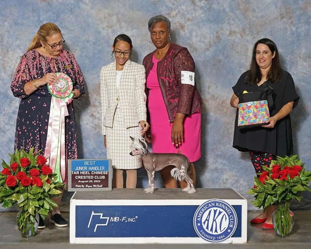 Marlei's Spitfire Taken By Storm