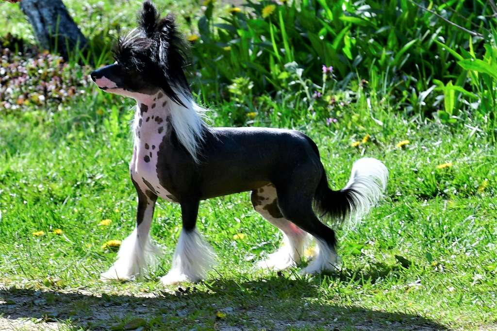 Gloria Winning Smile