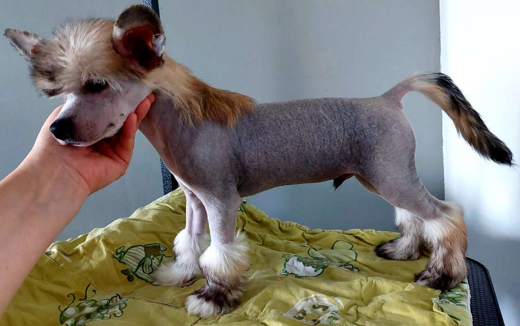 Concrete Clouds Striptease