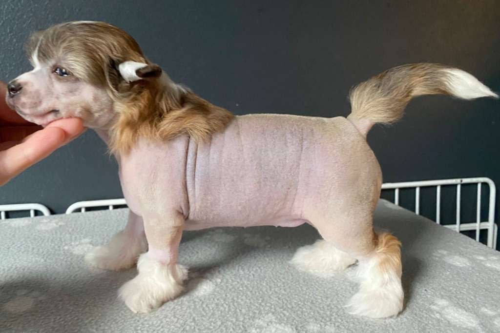 Concrete Clouds Brazilian Butt Lift