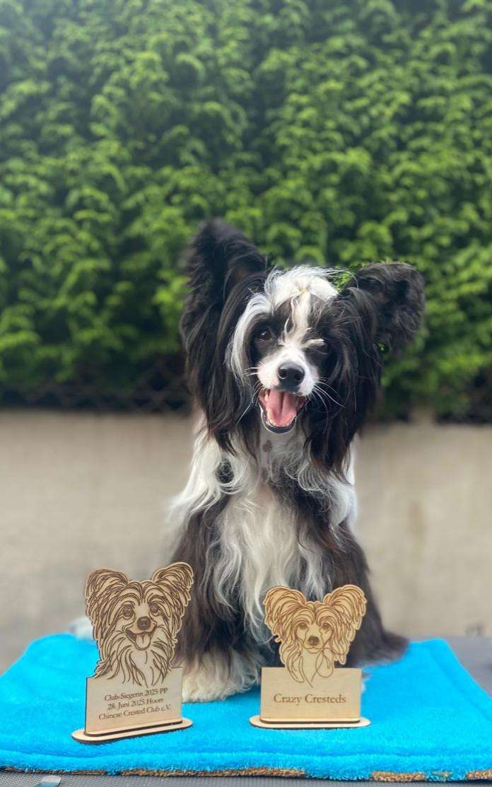 Crazy Cresteds Moira CyRa