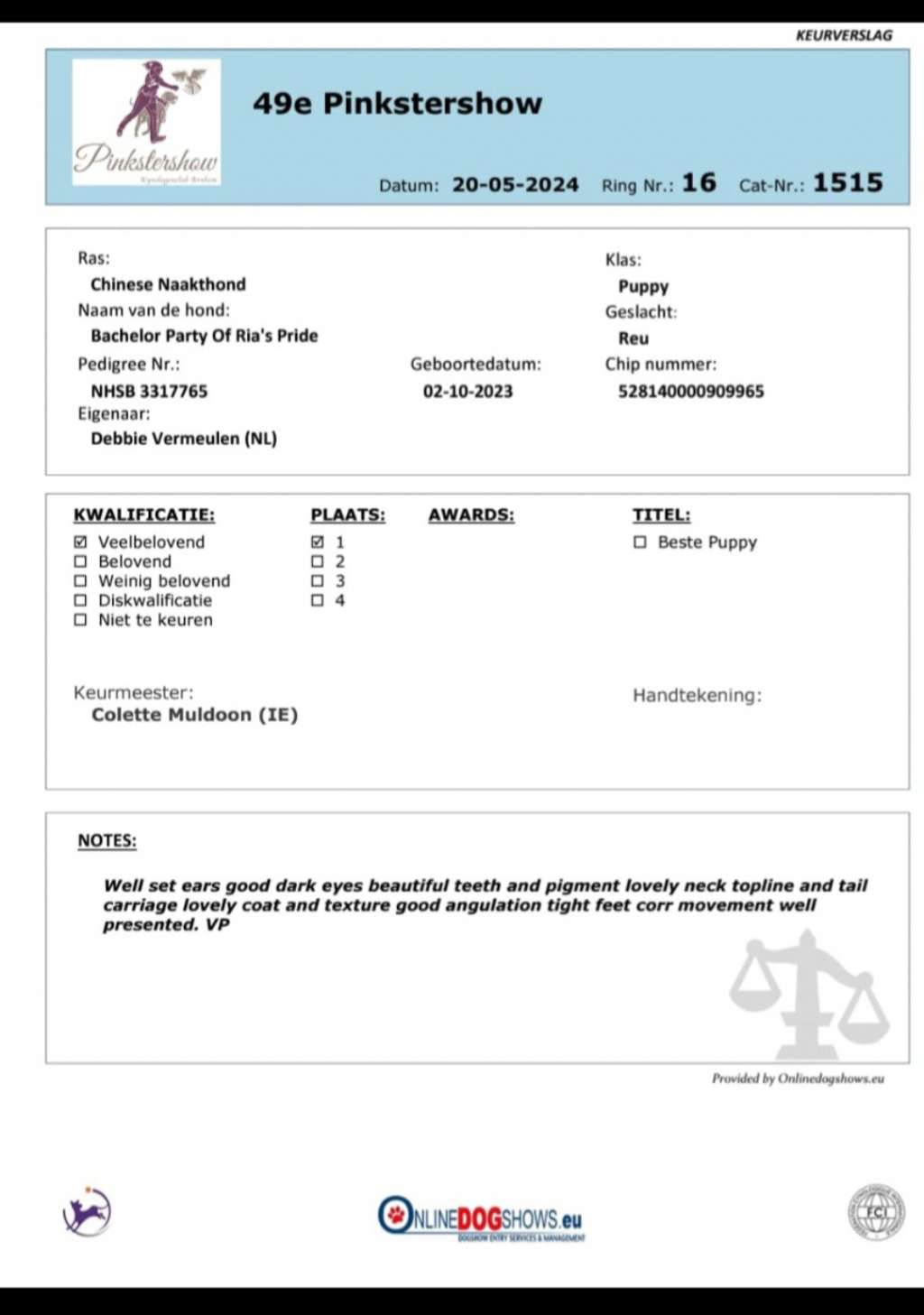 Bachelor Party of ria's pride