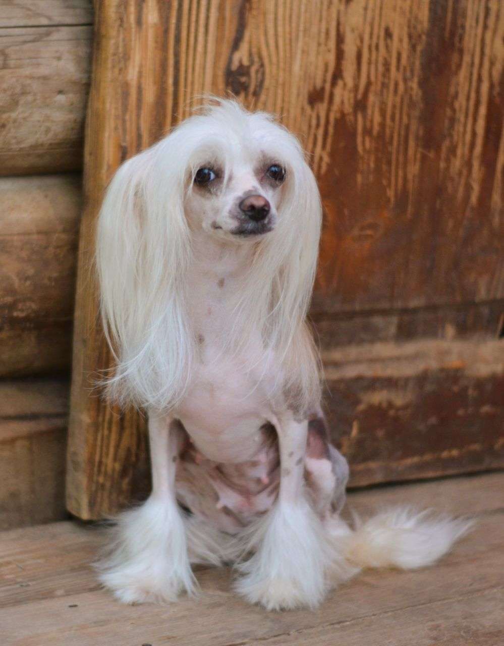 Miniatura Club Duymovochka