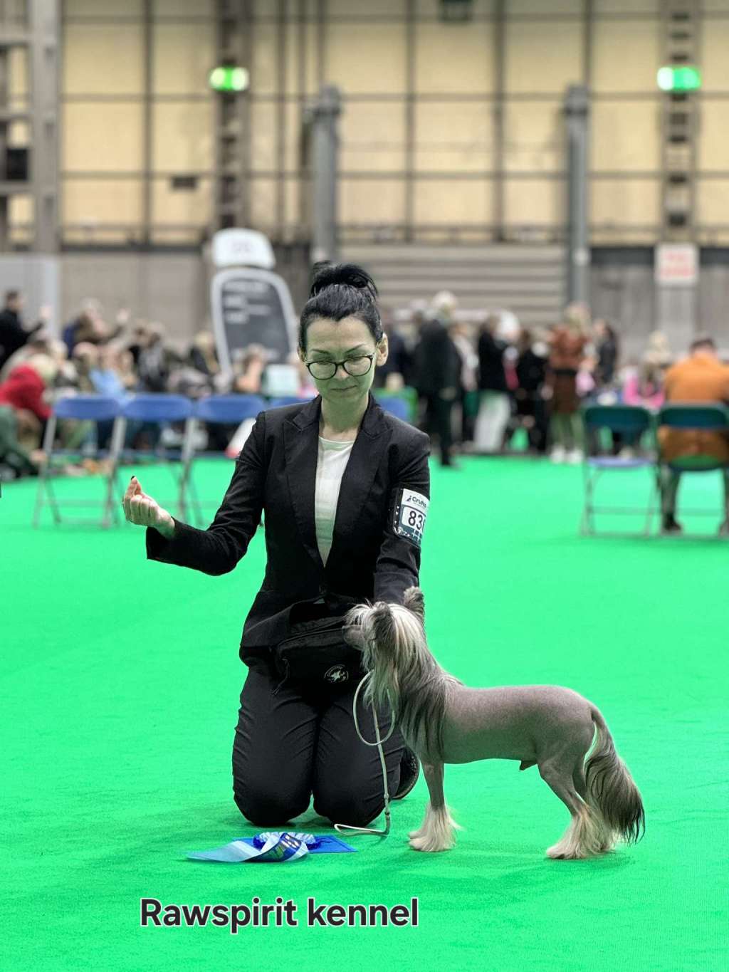 Julien Insolite Familier