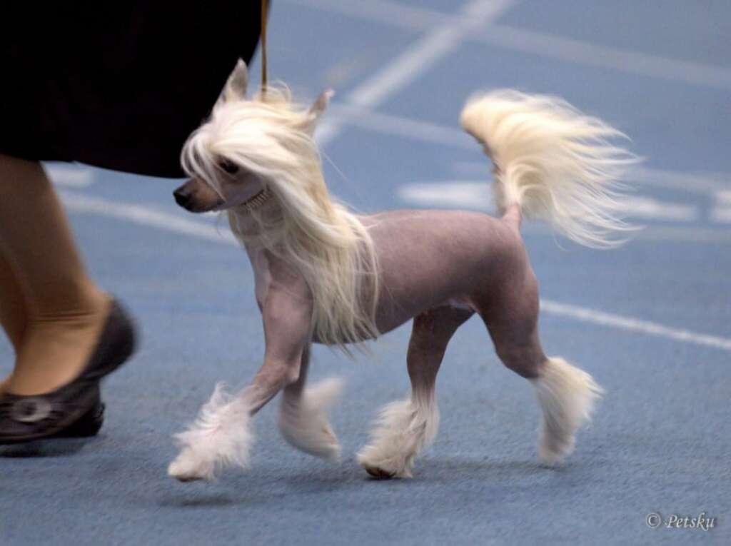 Concrete Clouds Bet It All