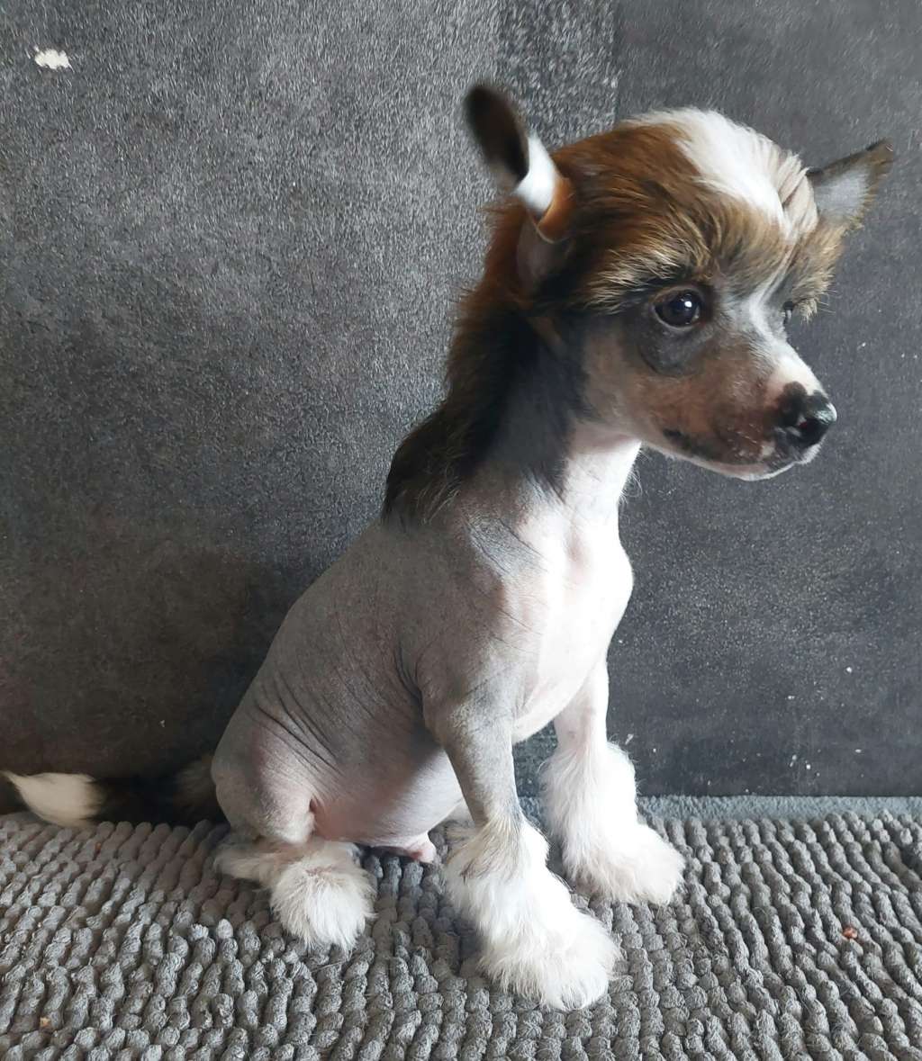 Concrete Clouds Manifest This