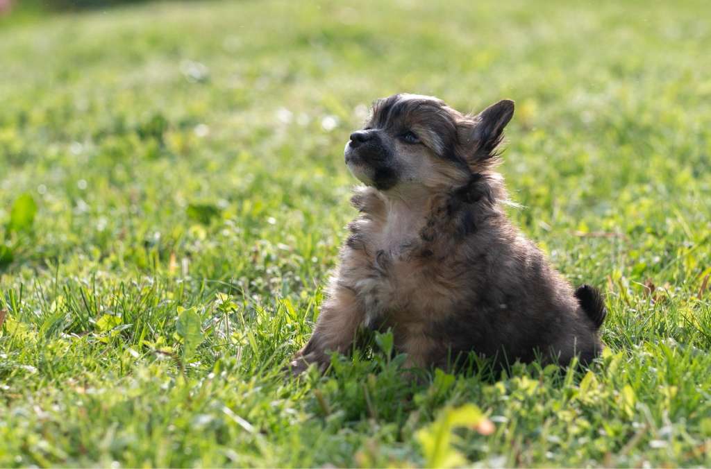 Margarita Modern Family