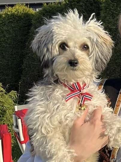 Beautiful Ms Noir by Naked Bubbles