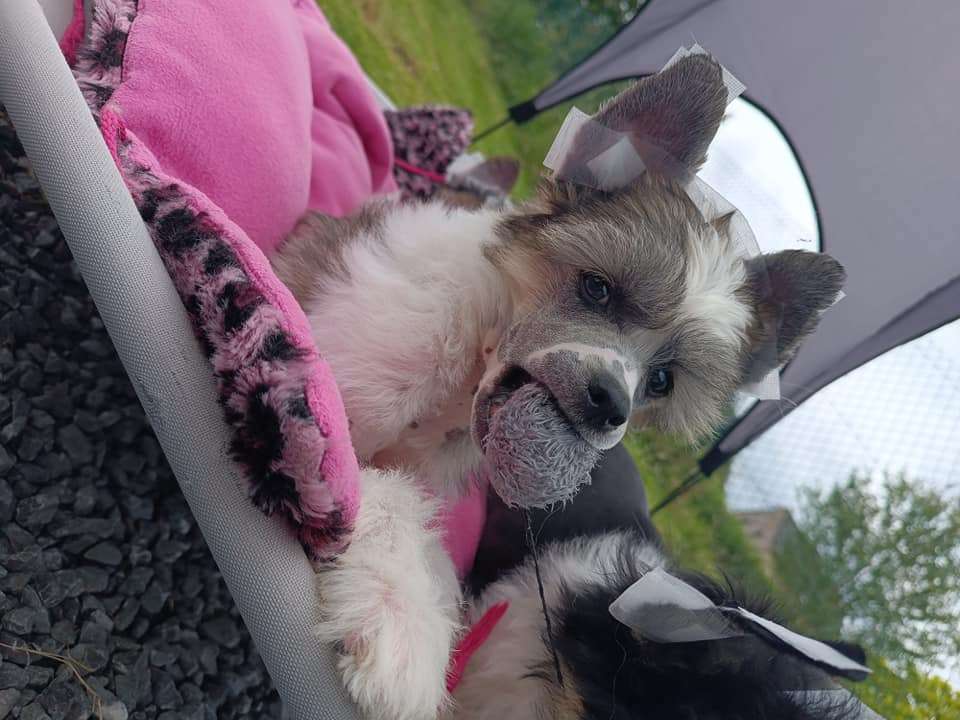 Il était une fois X Star Lord