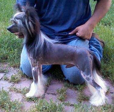 Blanch-Os Walk the Line