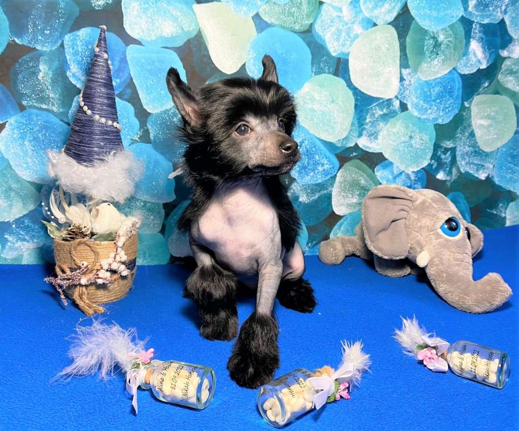 Charuyuschiy Soblazn Floyd Black Diamond