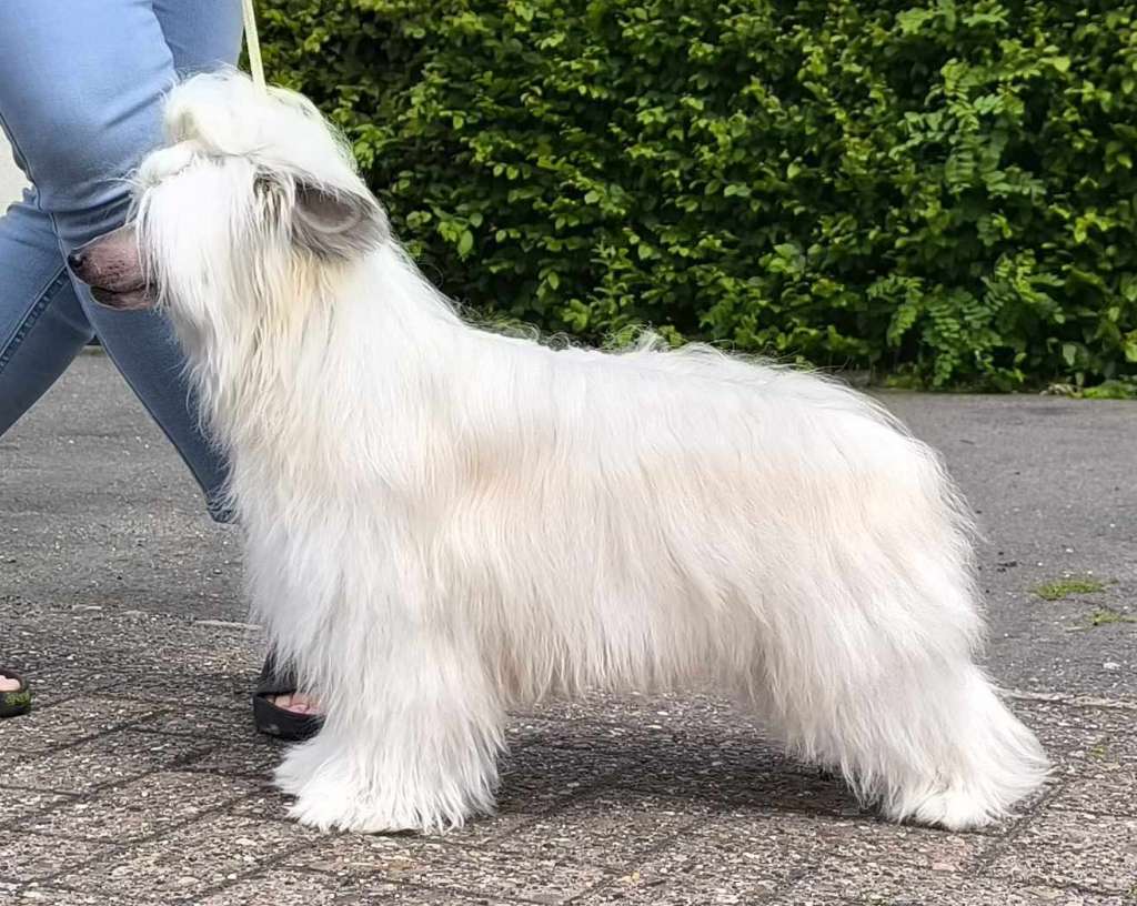 Matinee Midori Gattaca