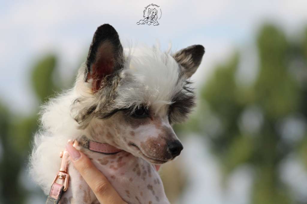 I Am Pinky Pretty Sweet