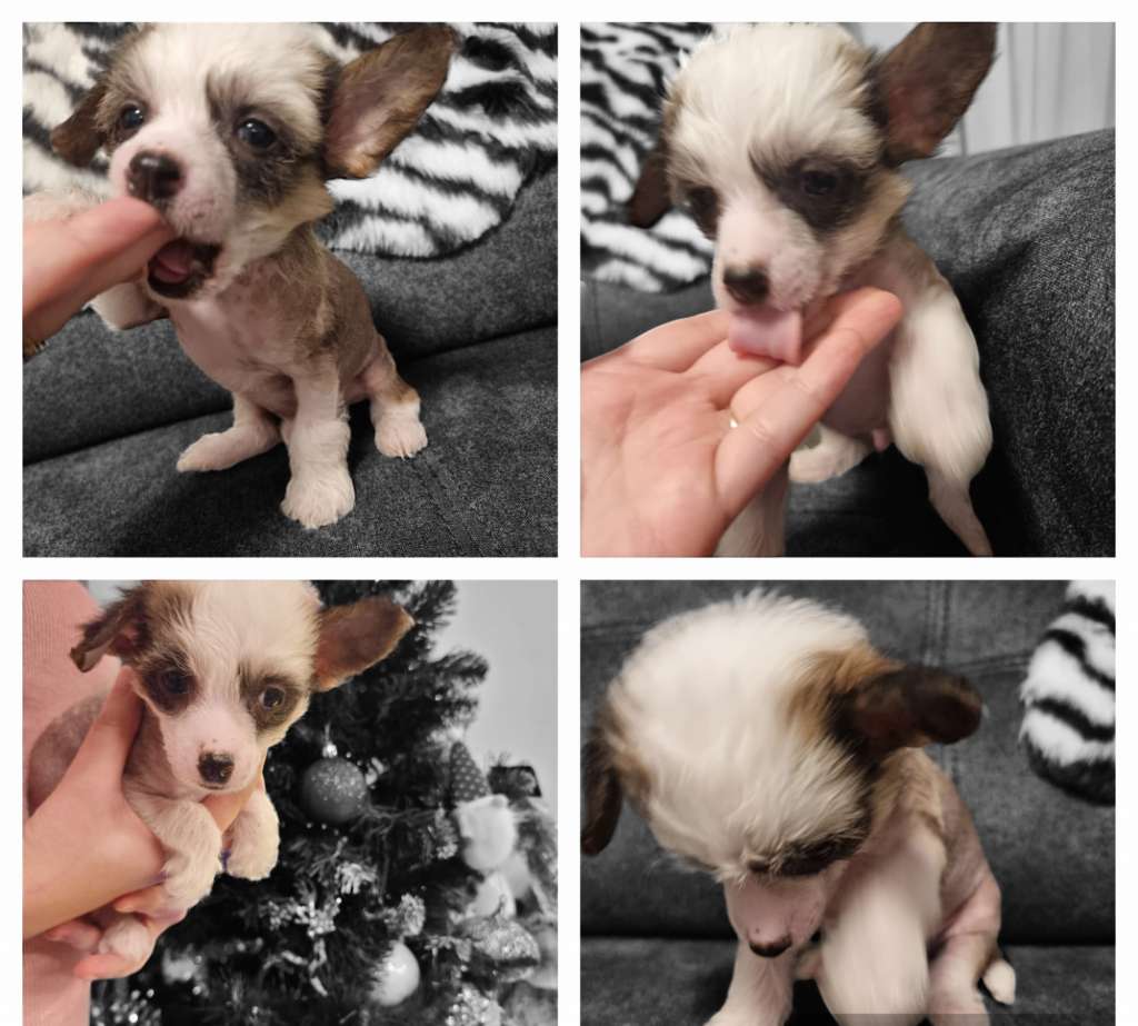 Avatar By Grakstuole