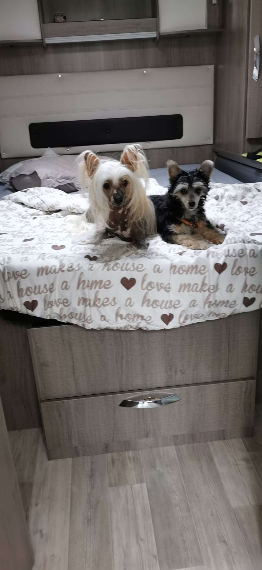 Il était une fois X Gamora