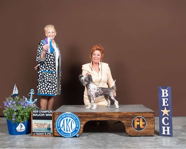 Edelweiss Paradise City