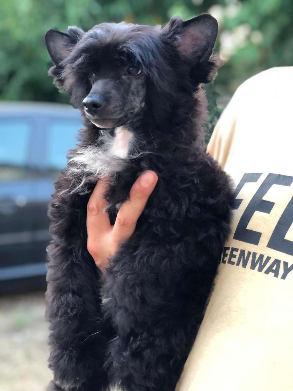 Class Line Velvet Underground