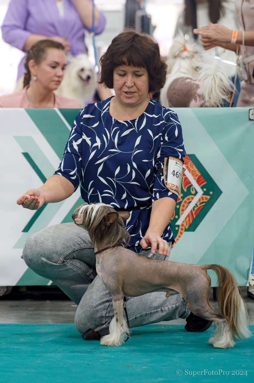 HitLine Ltd Excalibur