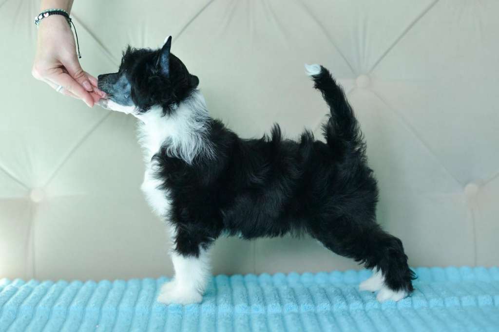 Incanto Del Mondo Juliette