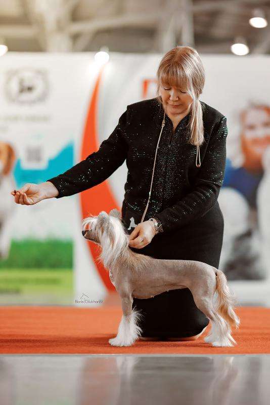 Incanto Del Mondo Absolutely Killed Your Mind