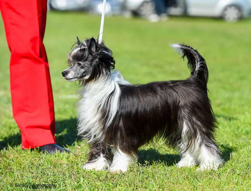 Rapunzel Winning Smile