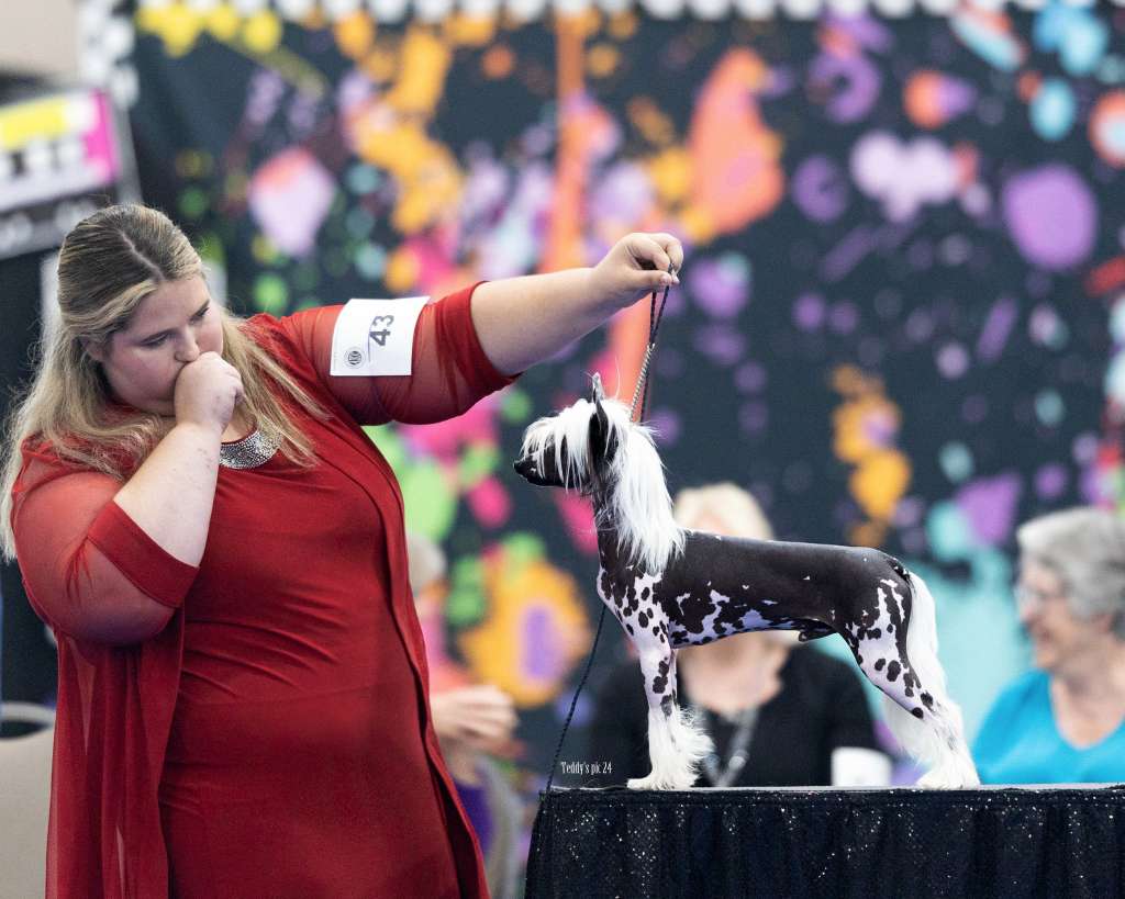 Piedmont Kaylens Dark Side of the Moon