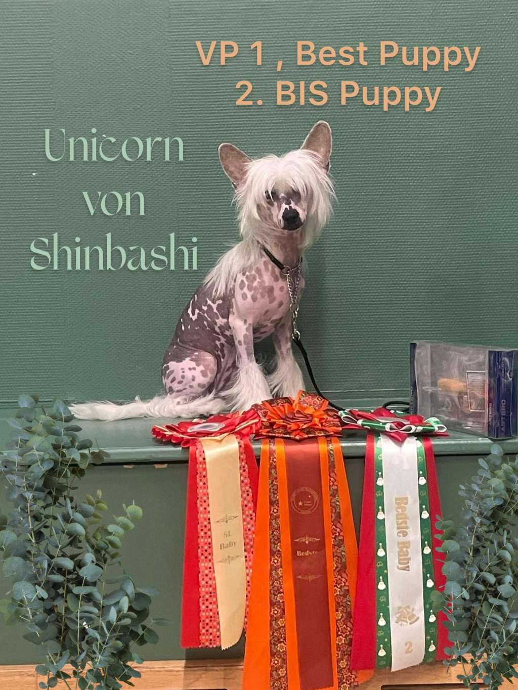 Unicorn von Shinbashi