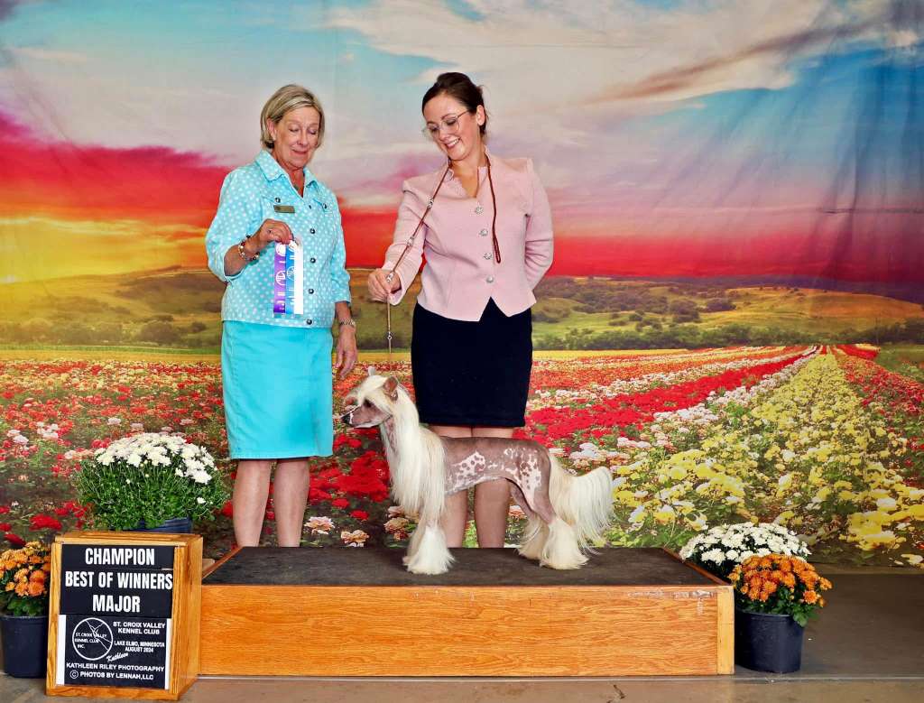 CH Ciao Bellas the sweetest b!tch youll ever meet