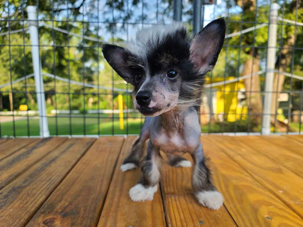 Long Haul's Pour Your Heart Out Kid