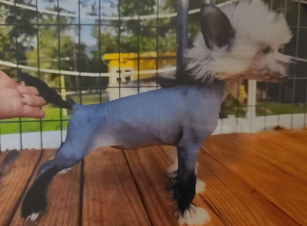 Long Haul's Trek Of Hide And Q