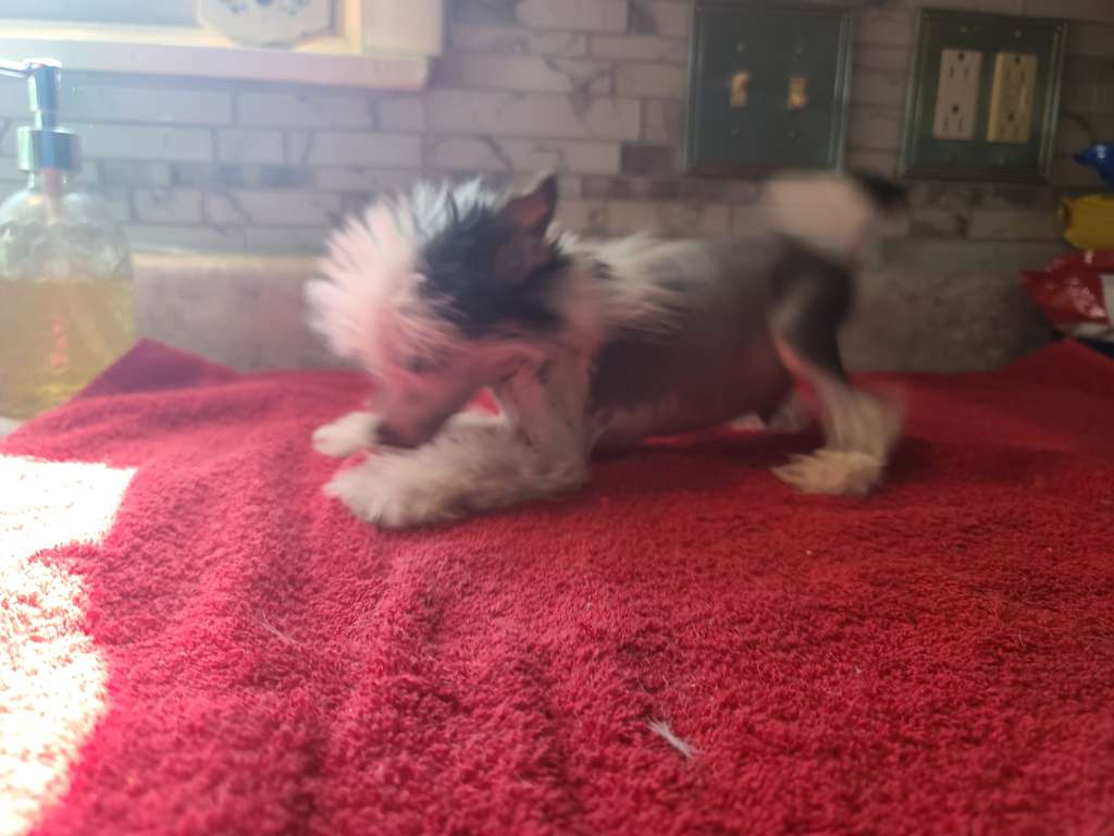 Long Haul's Legends Untold